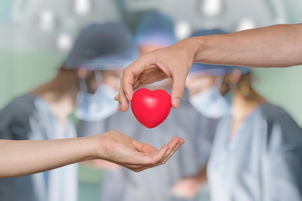 Heart Transplant: Procedure,Risks, and Recovery